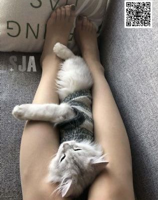 精品国产免费v片_BD国语完整版观看