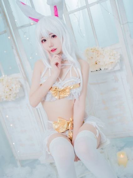 欧美高清videossexo动物_高清全集免费观看