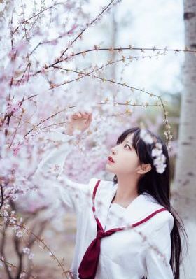 日本软体系列av番号_1080P免费观看